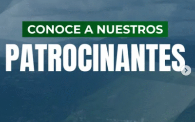 Conoce a nuestros patrocinantes de INMO XPERIENCE 2025